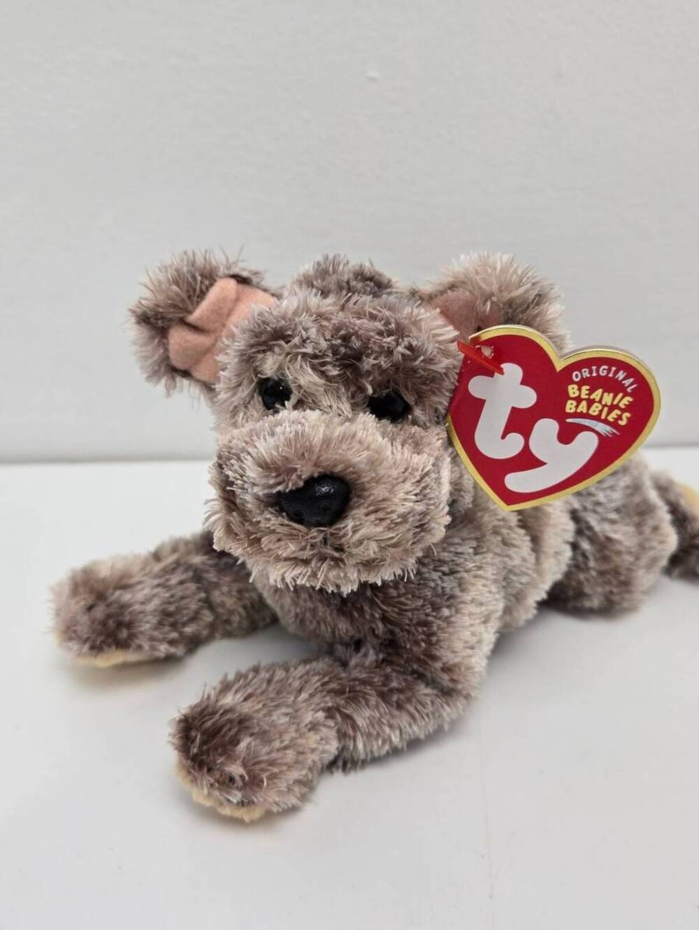 Ty Beanie Baby “Cutesy” the Puppy Dog! (6.5 inch)